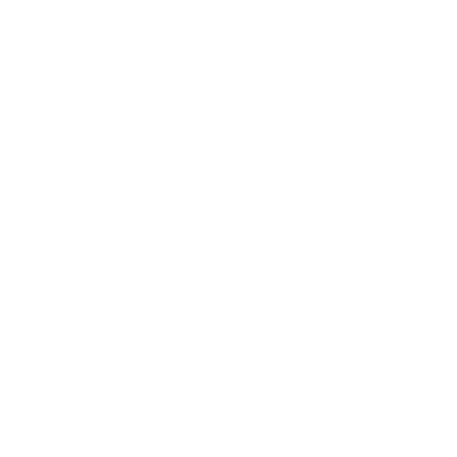 Ammo Icon